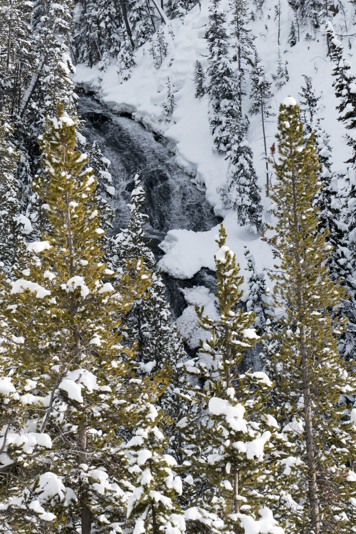 Virginia Cascades